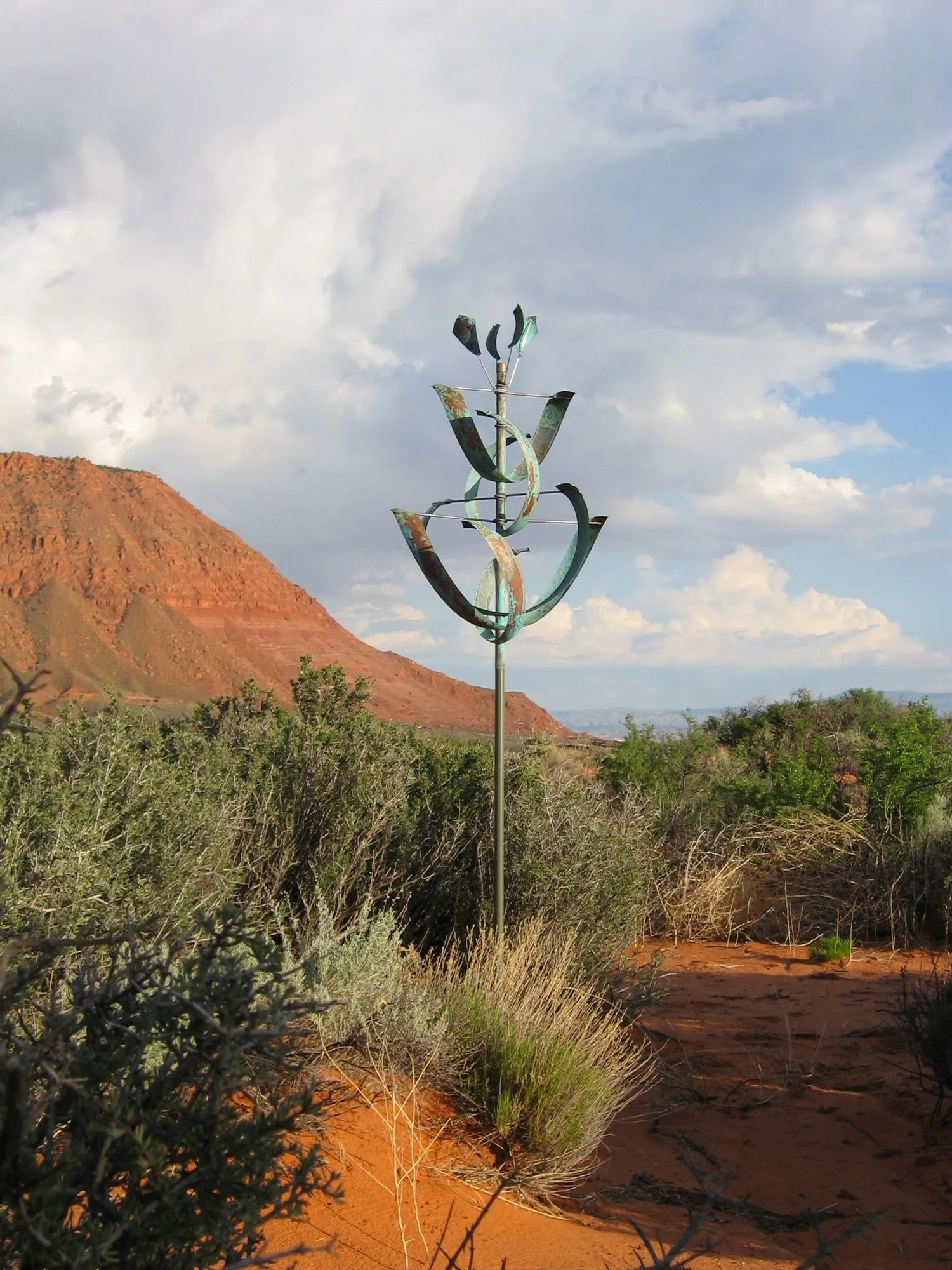 Desert Lily